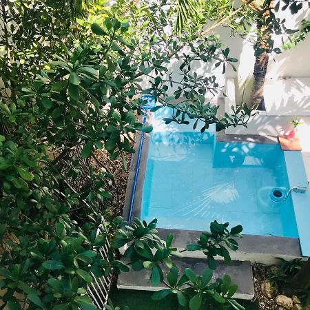 Cozy Tiny Studio Acasadialexplayadelcarmen Playa del Carmen Exterior photo